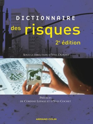 cover image of Dictionnaire des risques